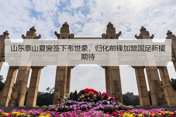 山东泰山夏窗签下韦世豪，归化前锋加盟国足新援期待