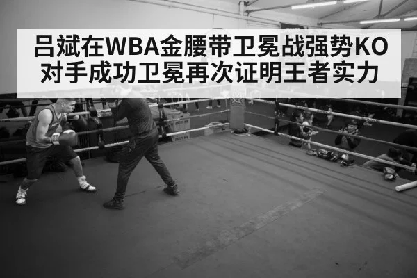 boxer training gym