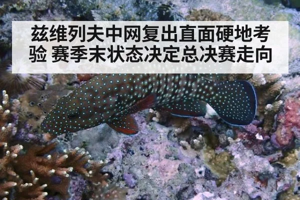 兹维列夫中网复出直面硬地考验 赛季末状态决定总决赛走向